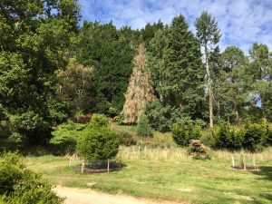 Top 5 Adventure Places In Habentia Spectent