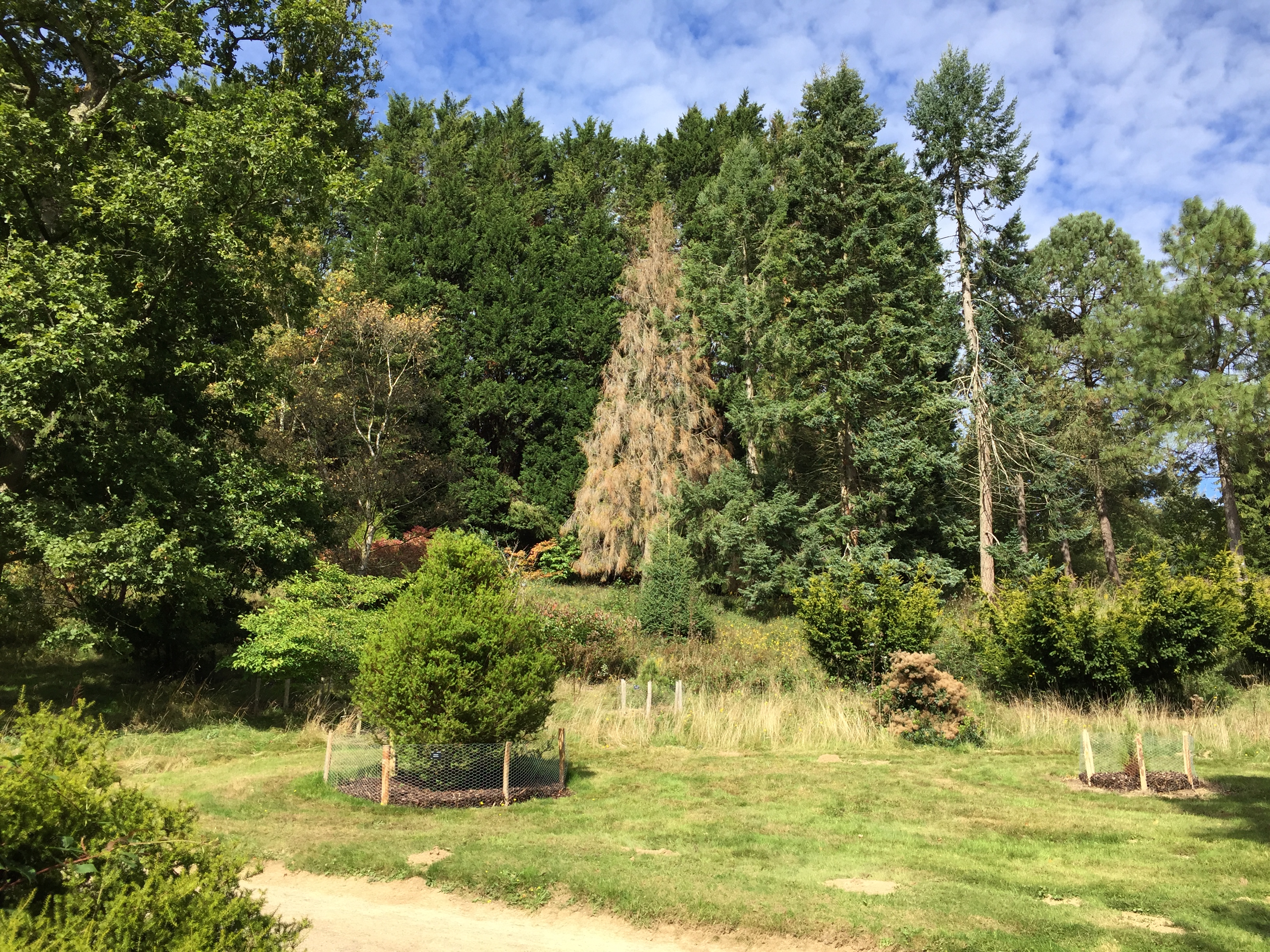 Top 5 Adventure Places In Habentia Spectent