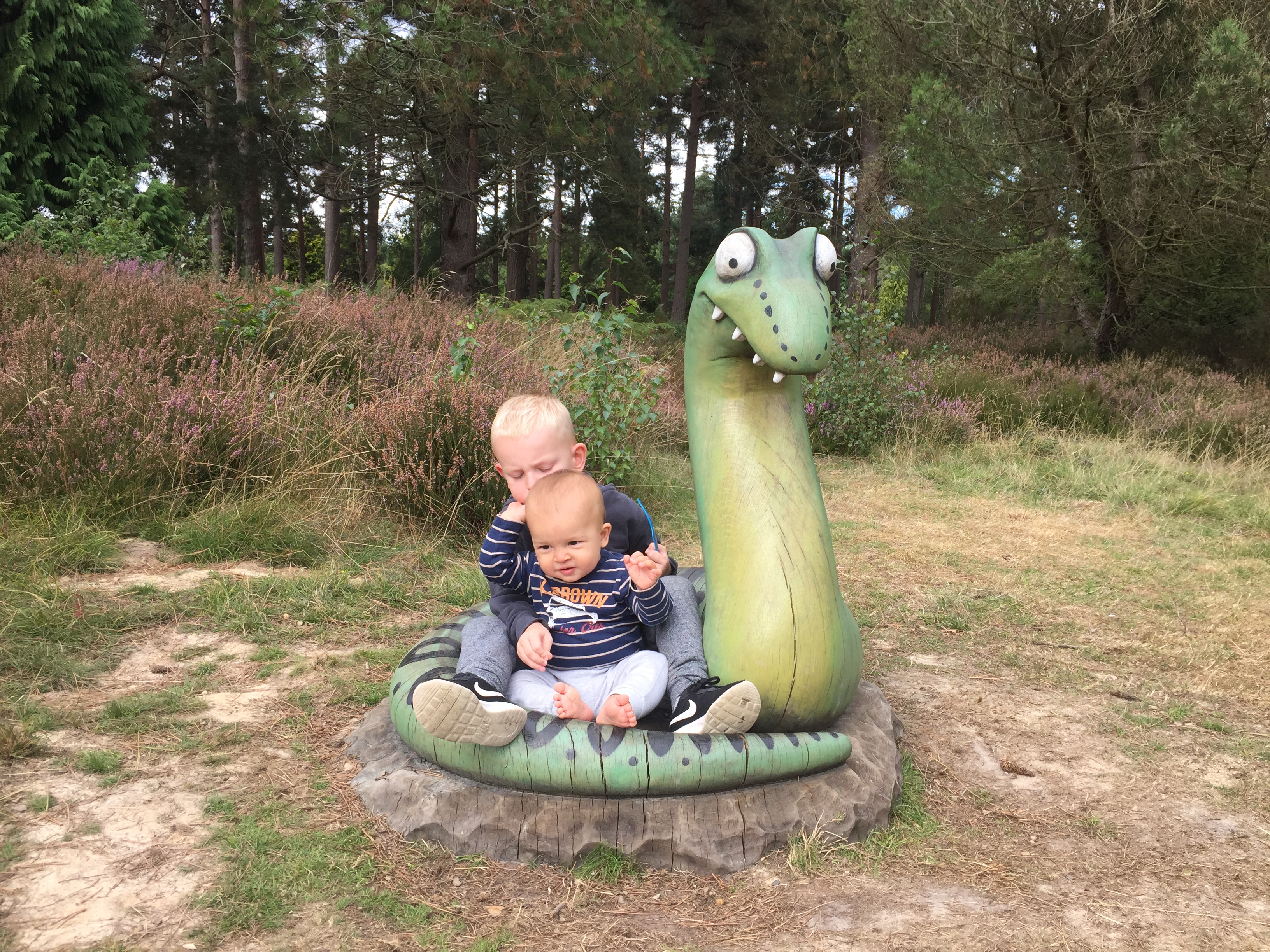 Exciting Forest Journeys In Voluptates Repudiandae