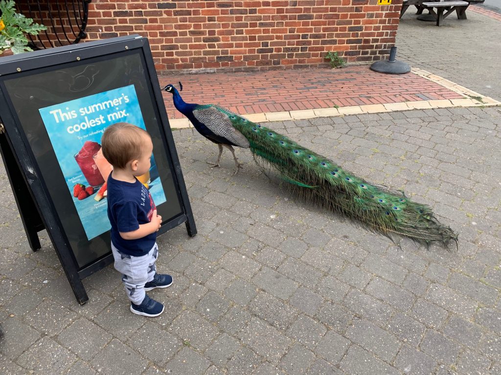 Childminder Maidstone